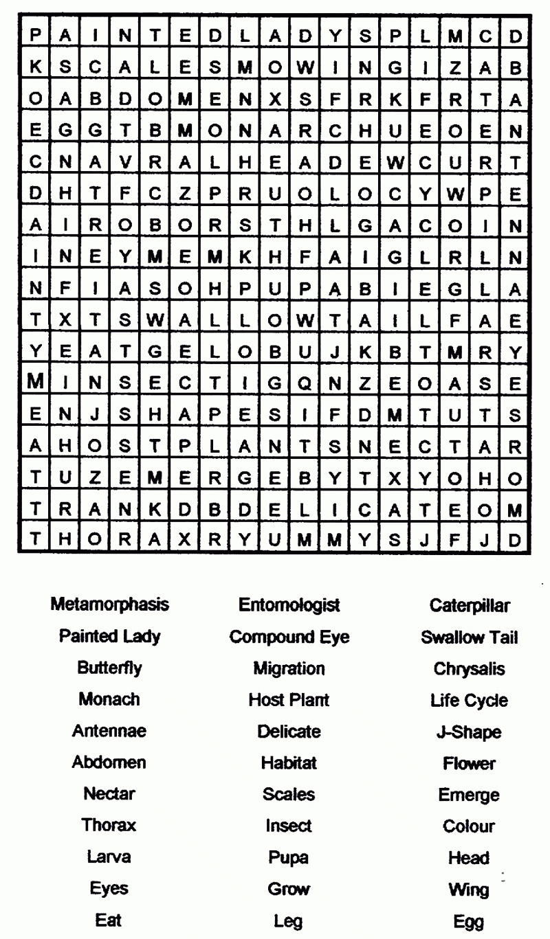 Free Printable Adult Word Searches Word Search Maker